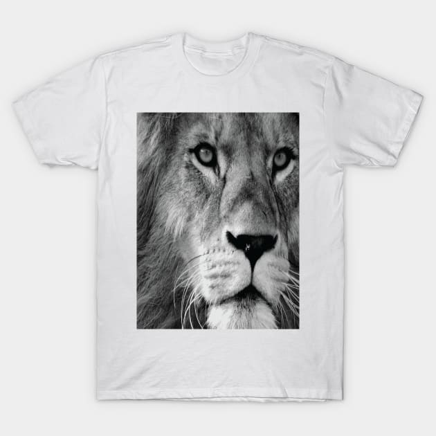 LION 2 Pop Art T-Shirt by BruceALMIGHTY Baker